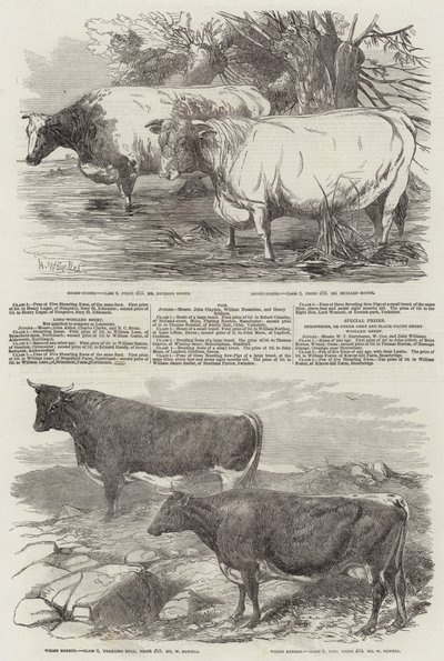 Exhibition of the Royal Agricultural Society of England by Harrison William Weir